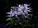 %_tempFileName03-20080119-0223%
