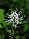 %_tempFileName05-20090802-0241%