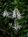 %_tempFileName06-20091025-0192%