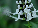 %_tempFileName07-20091108-0211%