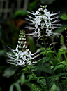 %_tempFileName08-20100306-0186%