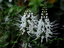 %_tempFileName09-20110409-0181%