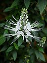 %_tempFileName10-20110423-0254%