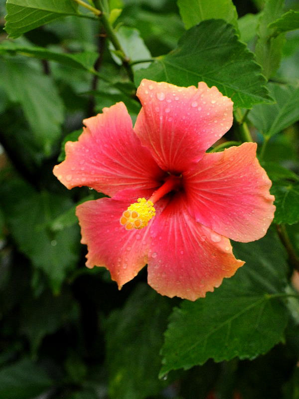 %_tempFileName09-20091025-0154%