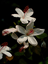 %_tempFileName02-20050625-0156%