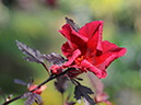 %_tempFileName04-20080105-0039%