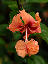 %_tempFileName05-20071014-0137%