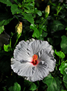 %_tempFileName06-20080119-0178%