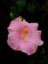 %_tempFileName08-20091025-0151%