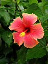 %_tempFileName09-20091025-0154%