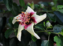 %_tempFileName10-20100117-0202%