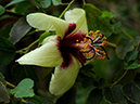 %_tempFileName11-20110122-0132%