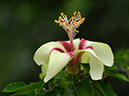 %_tempFileName12-20120107-0094%