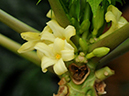 %_tempFileName01-20110122-0137%
