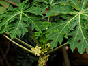 %_tempFileName02-20110122-0138%
