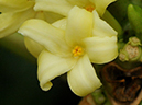 %_tempFileName03-20110122-0139%