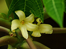 %_tempFileName04-20110409-0257%