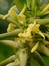 %_tempFileName09-20130113-0200%