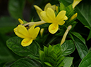%_tempFileName01-20090503-0198%