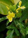 %_tempFileName02-20100509-0180%