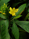 %_tempFileName03-20100509-0182%