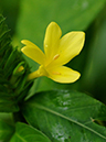 %_tempFileName04-20101114-0236%