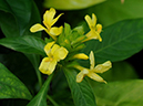 %_tempFileName05-20101219-0329%
