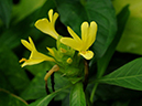 %_tempFileName06-20101223-0201%