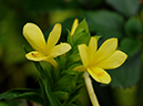 %_tempFileName07-20110505-0426%