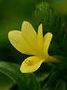 %_tempFileName09-20130420-0266%