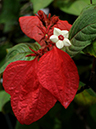 %_tempFileName02-20090506-0186%