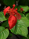 %_tempFileName03-20090506-0187%