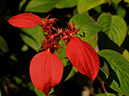 %_tempFileName04-20091108-0187%