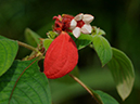 %_tempFileName05-20100124-0118%