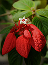 %_tempFileName06-20100404-0392%