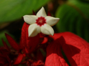 %_tempFileName07-20100404-0395%