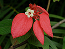 %_tempFileName08-20100627-0123%