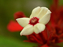 %_tempFileName09-20120603-0195%