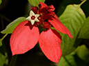 %_tempFileName10-20121008-0035%