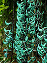 %_tempFileName01-20100306-0215%