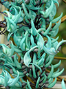 %_tempFileName03-20100313-0262%