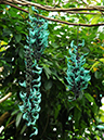 %_tempFileName04-20100313-0268%