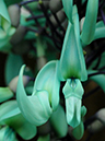 %_tempFileName05-20110409-0308%