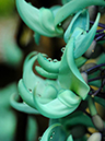 %_tempFileName06-20110409-0309%