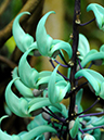 %_tempFileName07-20110409-0311%