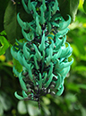 %_tempFileName08-20110423-0301%