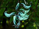 %_tempFileName09-20110423-0302%