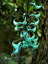 %_tempFileName10-20120304-0428%