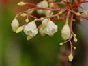 %_tempFileName01-20110423-0206%