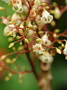 %_tempFileName02-20110423-0211%